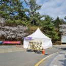 왕인박사유적지 봉선대 이미지