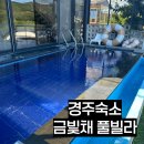 금빛채 풀빌라(다) | 경주 펜션 금빛채 풀빌라 8명 숙소 후기