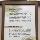 성일한의원 네이버블로그