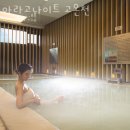 아라고나이트고온천 네이버블로그