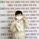 네코스토리 이미지