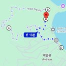 아발론(AVALON) | 자유여행 5일차] 카탈리나 익스프레스 타고 들어간 아발론 당일치기! (짐 보관, 스노클링, 하이킹...