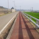 조성면사무소 이미지