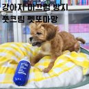 이소퍼피 강아지 남양주점 | 강아지 미끄럼 방지 풋 크림 펫또마망 슬개골 탈구예방 후기