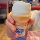 DQ소프트 | DQ 캐나다 아이스크림 맛집, 에그노그 eggnog 쇼핑 성공, 프리티캐나다 유저의 삶 in 밴쿠버