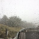 한라산에서 상처 받은 날