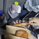 석류민박 | [나고야] 시라카와고 당일 버스투어 (한국어 K-guide) 내돈내산 후기 2탄