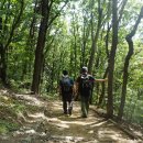 구룡약수터 이미지