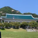 종로-현장-종로-세-196 | (25.05.04) 청와대 개방 관람신청 후기📝 (+가는 방법, 팁, 추천경로)