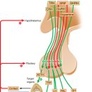 인한의원 이미지