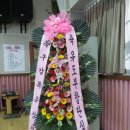 응암초교 이미지