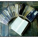 김인섭 단계일기 이미지