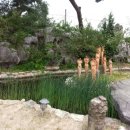 청도 아자방찻집 이미지