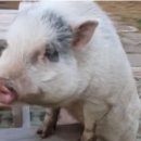 밝음농장 이미지