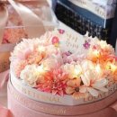 에스씨아이씨 이미지