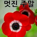 장충동왕족발 이미지