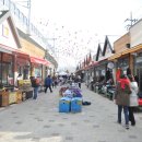 한류초등학교 이미지