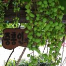 중흥2동 행정복지센터 앞 이미지