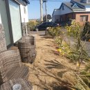 스테이돌덕 이미지