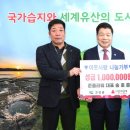준플라워 이미지