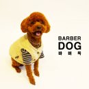 바버독 이미지