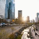 조경기능사(자격) 이미지