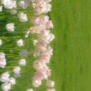 이렇게 좋은날 이미지