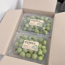 칠봉산 농장 이미지