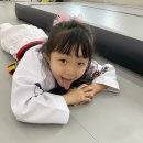 경희대 챔피온태권도장 네이버블로그