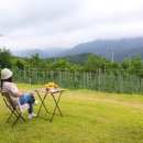 보르도애플스테이 이미지