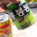 일로집
