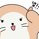 럽잇 이미지