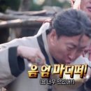 개맛도리