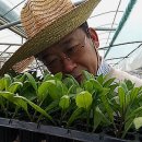 천기농장 이미지