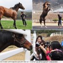 성한목장 이미지