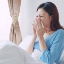 해로운 이미지