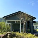 피자와썹 | 대구 평리동 피자와썹 4가지 맛 실속 포장 후기