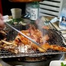 땡초꼼장어 이미지