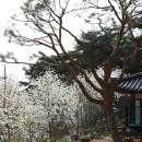 서천 영수암 목조보살좌상 이미지