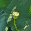 옥산3경로당 이미지