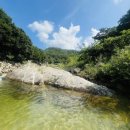 백운쉼터가든 | 백운계곡 주말 당일치기 서울근교 계곡 주차 텐트 파라솔 치킨포장