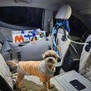 가치타개(타개) 이미지