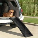 봉봉애견 이미지