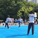한국체대 숨 태권도장 네이버블로그