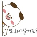도그픽 이미지