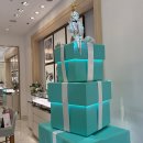 다섯 남자의 하모니 ''''컨템포디보'''' | 롯데백화점 본점 웨딩밴드 투어 후기 | 까르띠에 쇼메 타사키 불가리 다미아니 아크레도 티파니 비교