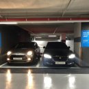 스위트카 이미지