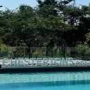 도미니클라바 이미지