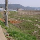 승산리 이미지