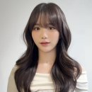 하비헤어 이미지